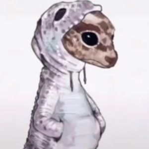 Meet your Posher, Jonitta